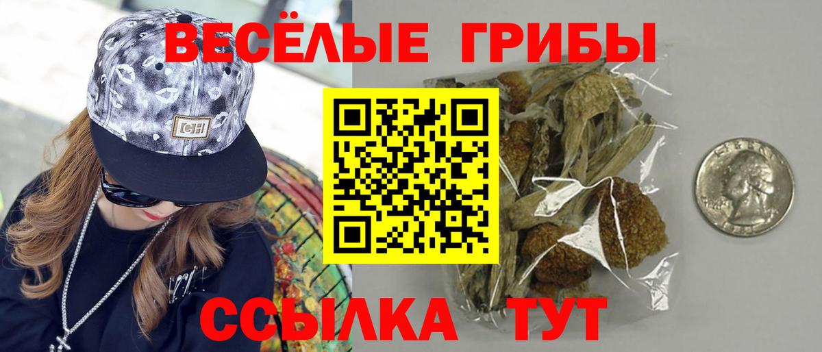 Галлюциногенные грибы прущие грибы Жуковский