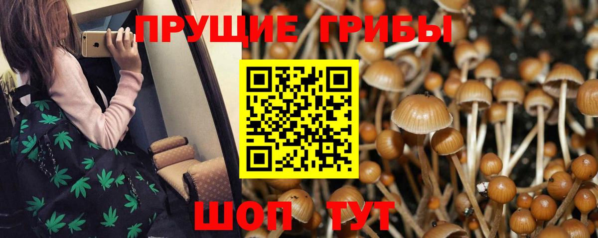 Псилоцибиновые грибы Psilocybine cubensis  Вход с VPN  дарнет шоп  Жуковский 